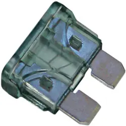 2 Amp Spade Fuse