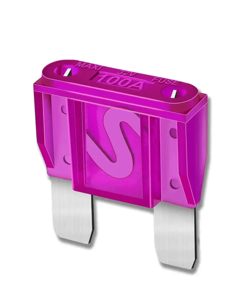 100 Amp Large Spade Fuse